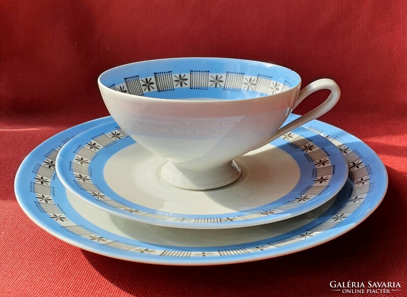 Von schierholz German porcelain breakfast set cup saucer small plate coffee tea