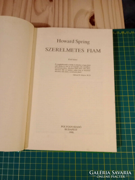 Howard Spring - Szerelmetes fiam