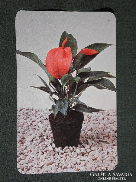 Kártyanaptár,Florasca virágföld,Győr Sopron talajerő gazdálkodási vállalat, 1982,   (4)