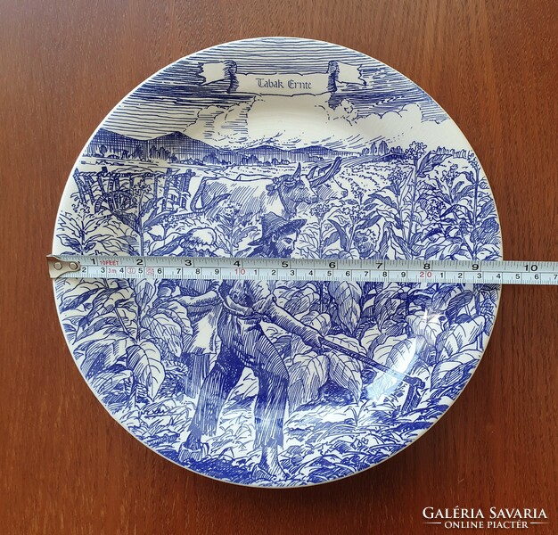 Ironstone tableware English scene blue porcelain plate tobacco land
