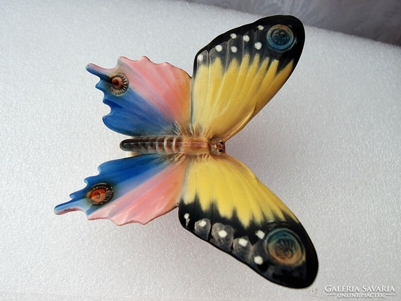 Gyönyörű pillangó