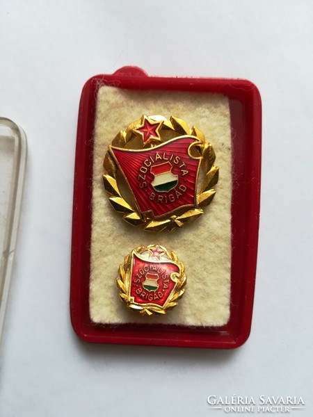 Socialist Brigade - Gold Grade Badges in Original Case