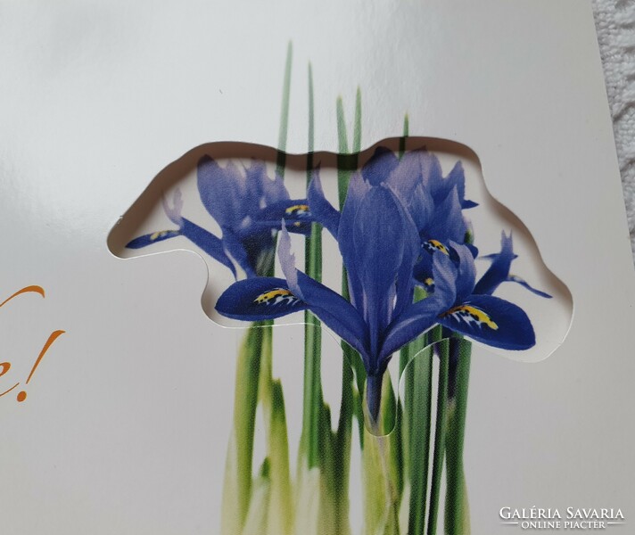 Jókívánság képeslap borítékkal üdvözlőlap üdvözlőkártya levelezőlap postatiszta német virág mintával