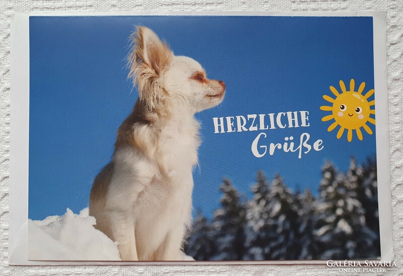 Jókívánság képeslap borítékkal üdvözlőlap üdvözlőkártya levelezőlap postatiszta német kutya minta