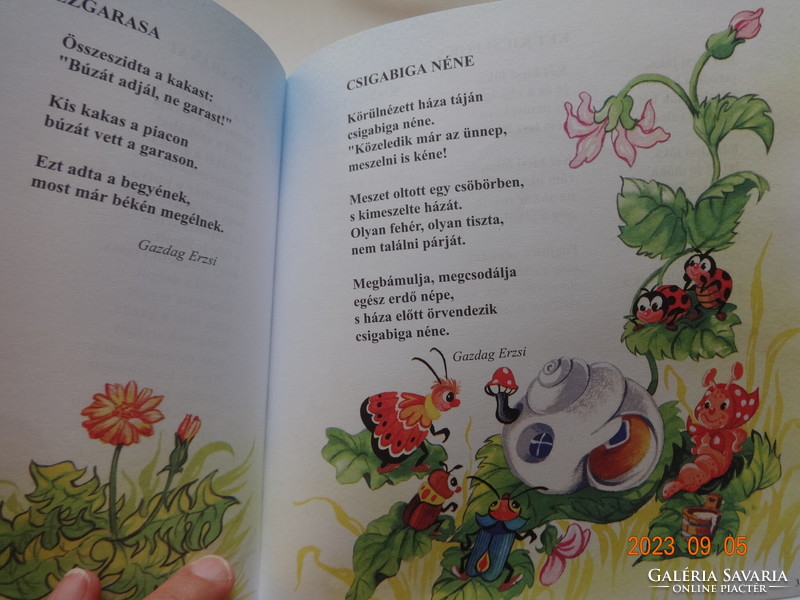 Erzsi Rich - Magda Juhász: fun fair - playful children's poems with drawings by Zsuzsa Radvány