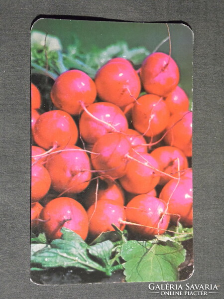 Kártyanaptár, Virág Vetőmag vállalat, zöldség retek, 1983,   (4)