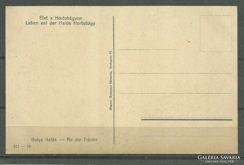 1918.- Hortobágy - did not run - postcard - goulya drinking