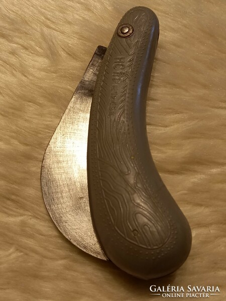 Kacor kés