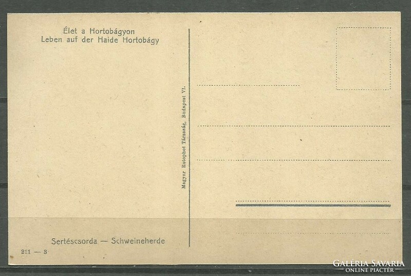 1918.- Hortobágy -nem futott - képeslap - Sertés konda