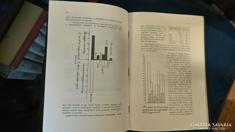 First edition!-Gottermayer binding-sándor pethó:from light to trianon -1925 -encyclopedia rt