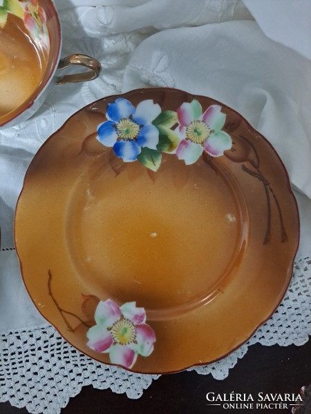 English antique hand painted dreamy tea cup with cake plate