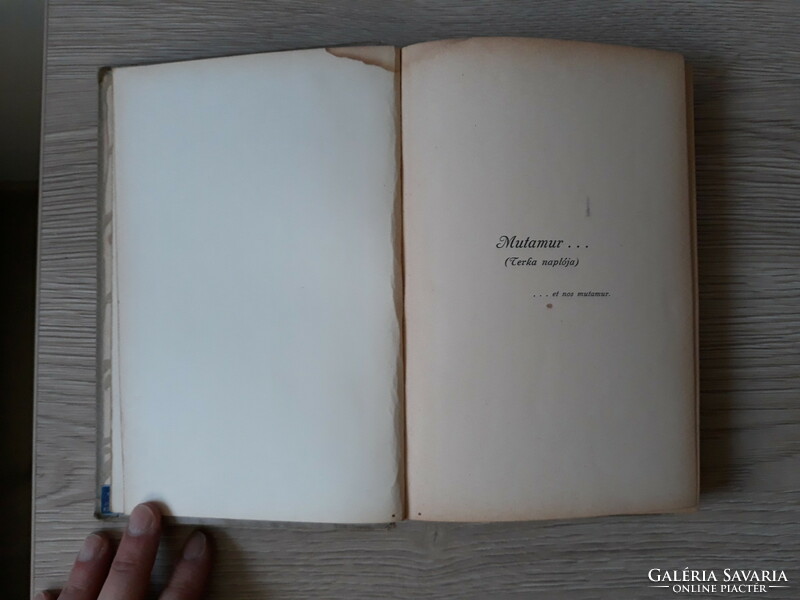Ferenc Herczeg - mutamur - book with an antique, art nouveau cover