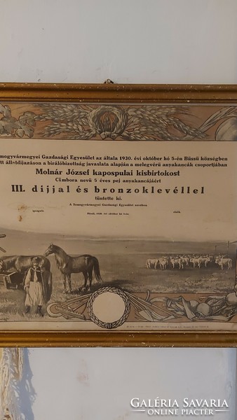 Rare antique bronze certificate award for horse breeding