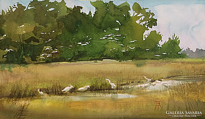 Bálinth Tibor : Bird paradise on the island (akvarell, 17cm x 29cm, papír-250gr.)  életkép madarakka