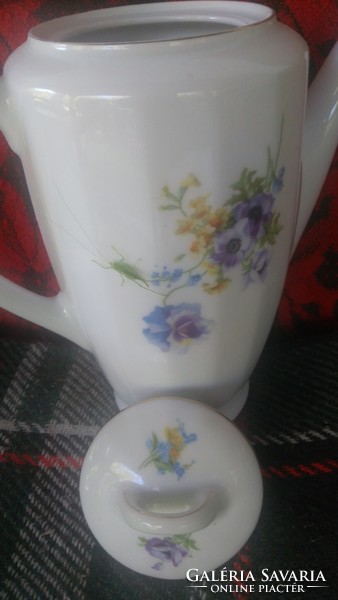 Teapot, large size spout