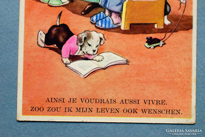 Old humorous graphic dog postcard - dog family