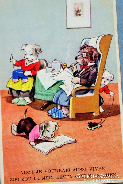 Régi humoros  grafikus kutyás képeslap  -  kutya család