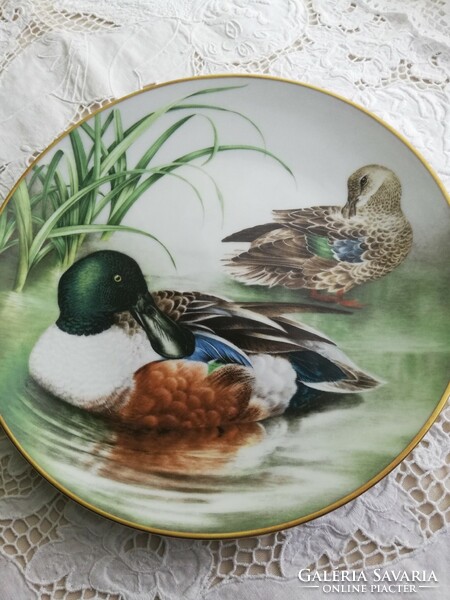 Beautiful wild duck wall plate