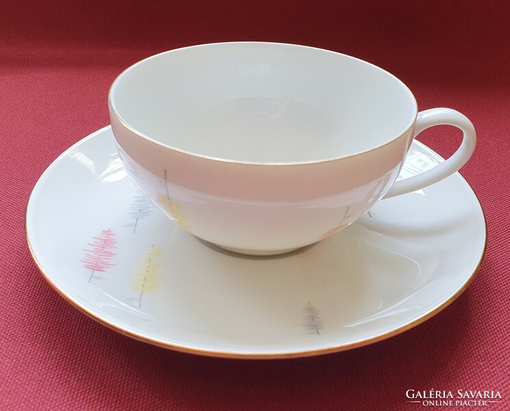 Arzberg German porcelain tea coffee set cup saucer plate