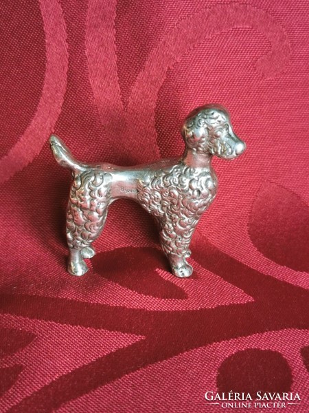 Ezüst miniatűr kutya