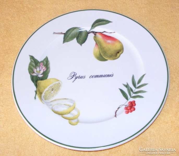 French porcelain fruit plate