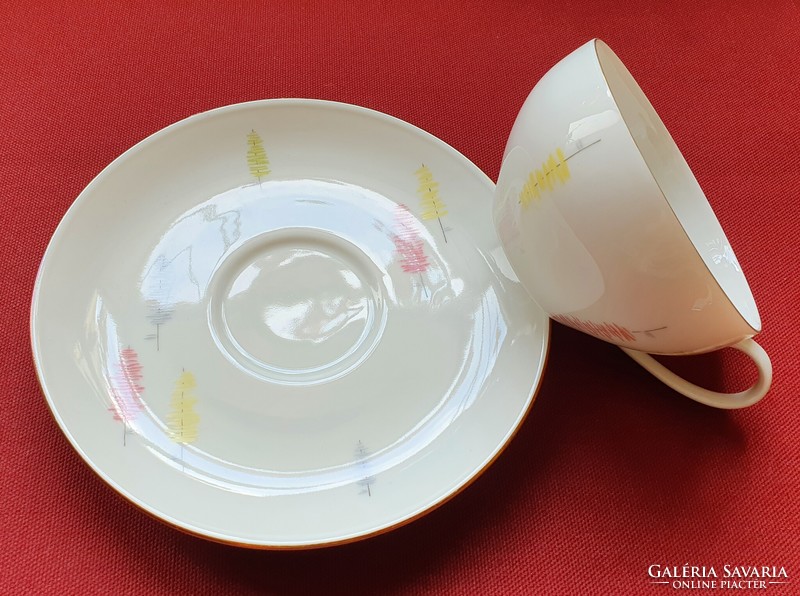 Arzberg German porcelain tea coffee set cup saucer plate