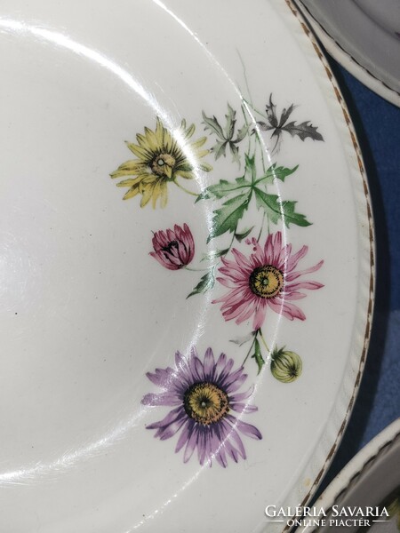 Czechoslovak aster tableware