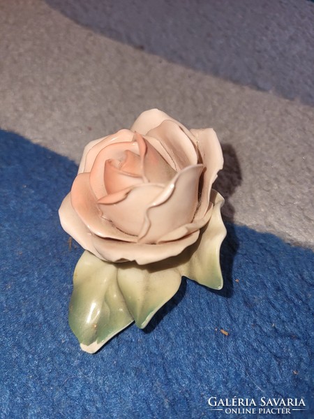 Német rózsa porcelán