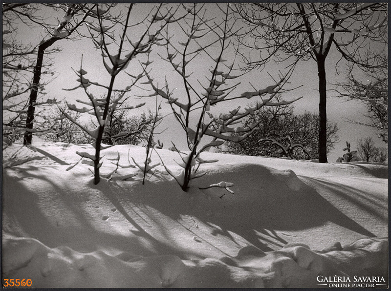 Nagyobb méret, Szendrő István fotóművészeti alkotása. Téli látkép, erdő, csendélet, tájkép, 1930-as