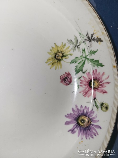 Czechoslovak aster tableware