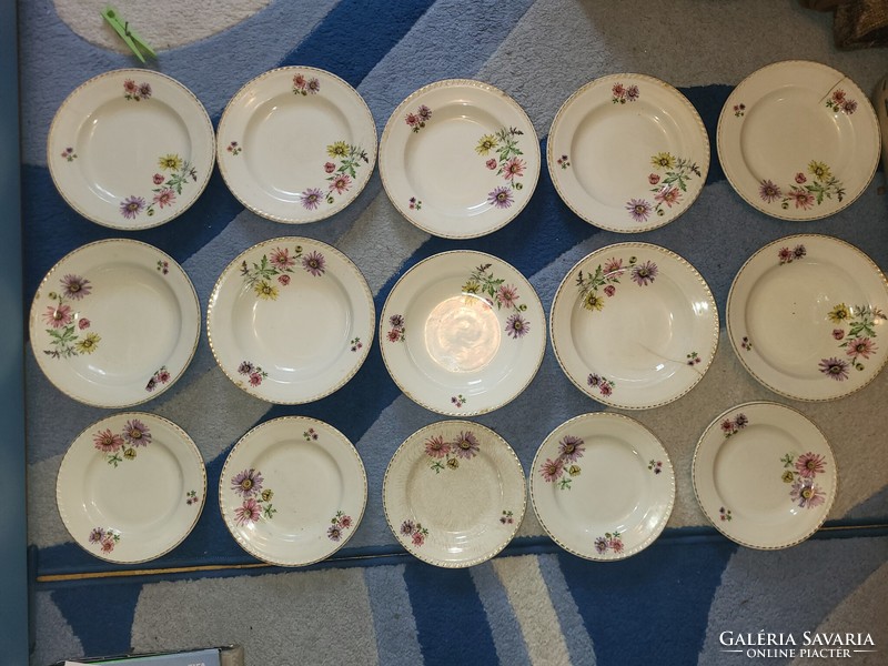 Czechoslovak aster tableware