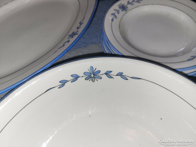 Antique Czechoslovak tableware, blue floral pattern