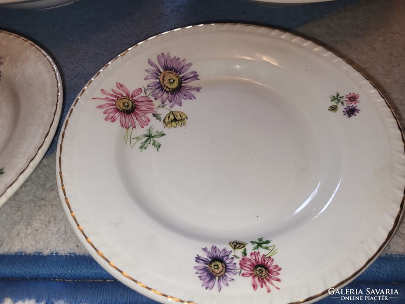 Czechoslovak aster tableware