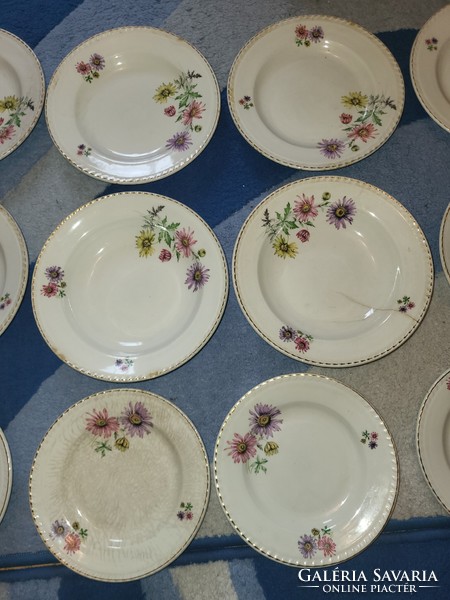 Czechoslovak aster tableware