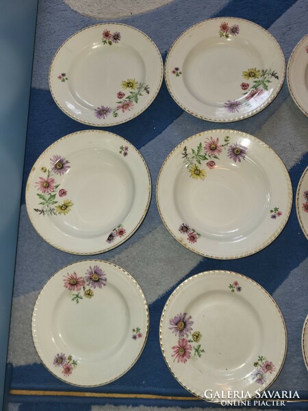 Czechoslovak aster tableware