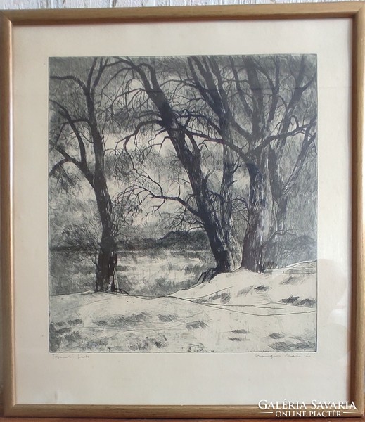 Máté Lajos Csurgói - lakeside trees picture (etching paper technique, in a wooden slatted frame)