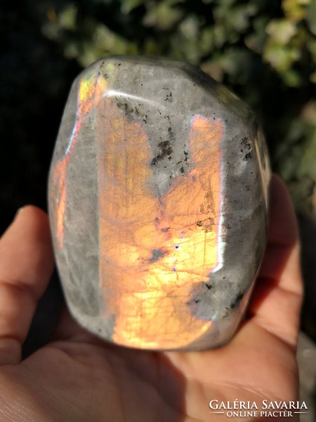 Golden labradorite crystal, mineral