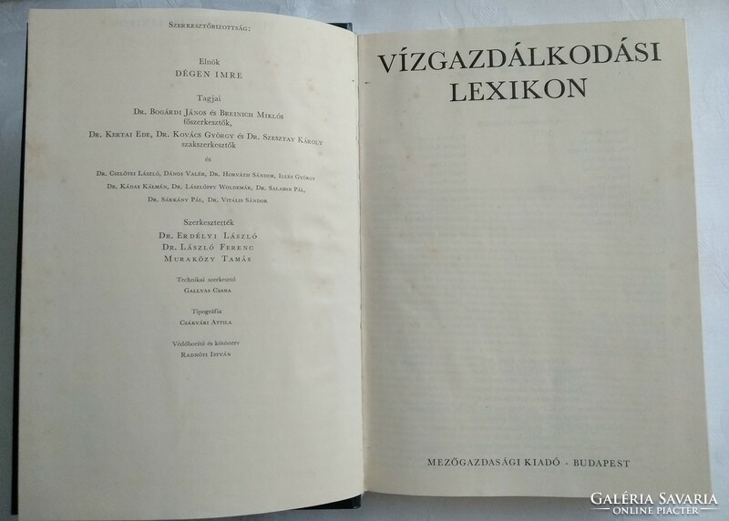 Dégen Imre és mások VÍZGAZDÁLKODÁSI LEXIKON 1970 antik könyv
