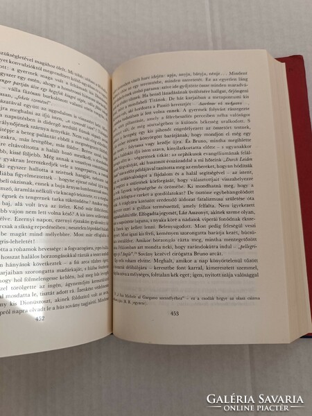 Romain Rolland: Az elvarázsolt lélek I.-II. kötet