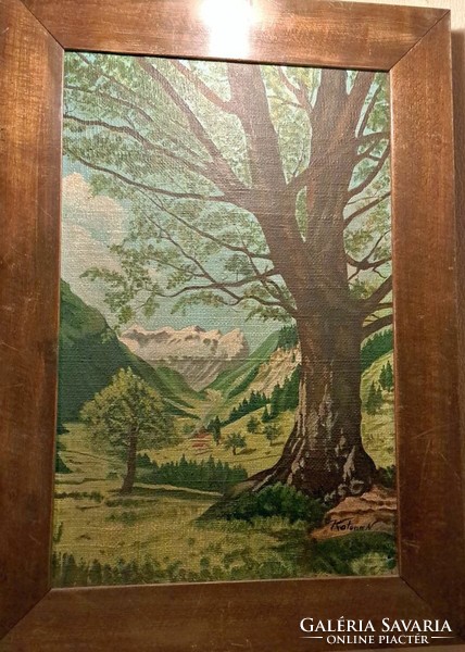 Soldier Nándor: mountain landscape. Oil on canvas with original frame