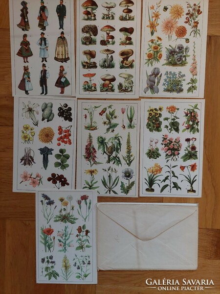 Old illustrative pictures, 7 color pictures, postcard size, envelope (even with free delivery)