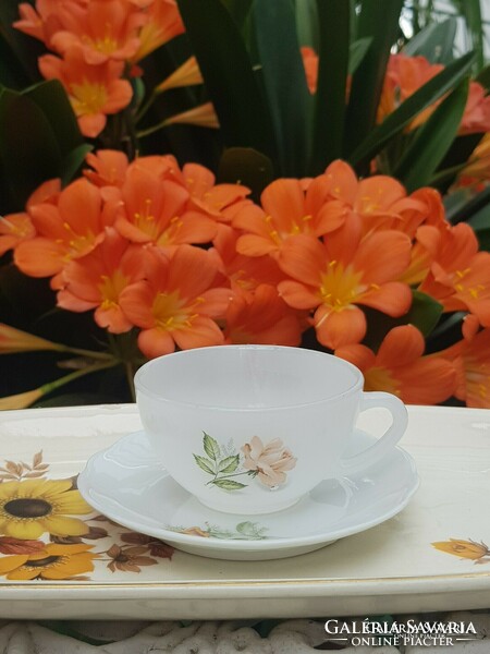 Yellow rose coffee cup and kahla saucer