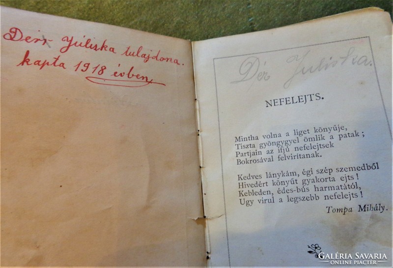 1914-es kiadású "mini" verses kötet: NEFELEJTS  /8x12 cm! Gyűjtötte: Decsényi Tihamér