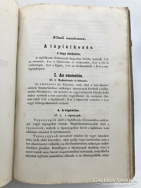 Lajos Gebhardt: Basic lines of human physiology following Wundt, 1869 - antique medical book rarity
