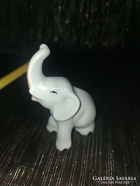Aquincum porcelain elephant