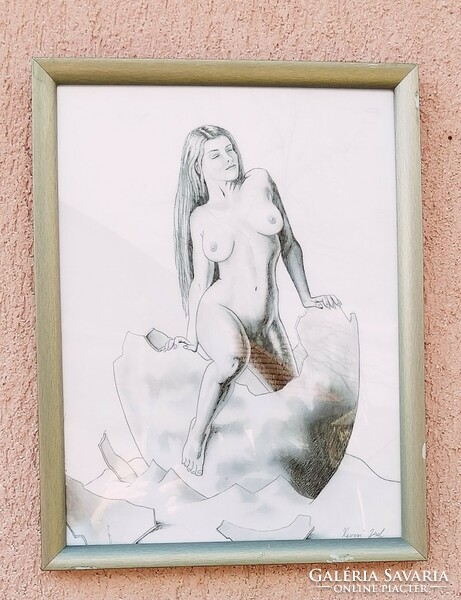 Venus born from an egg, graphic by József Hevesi, in a silver wooden frame protected by Plexiglas