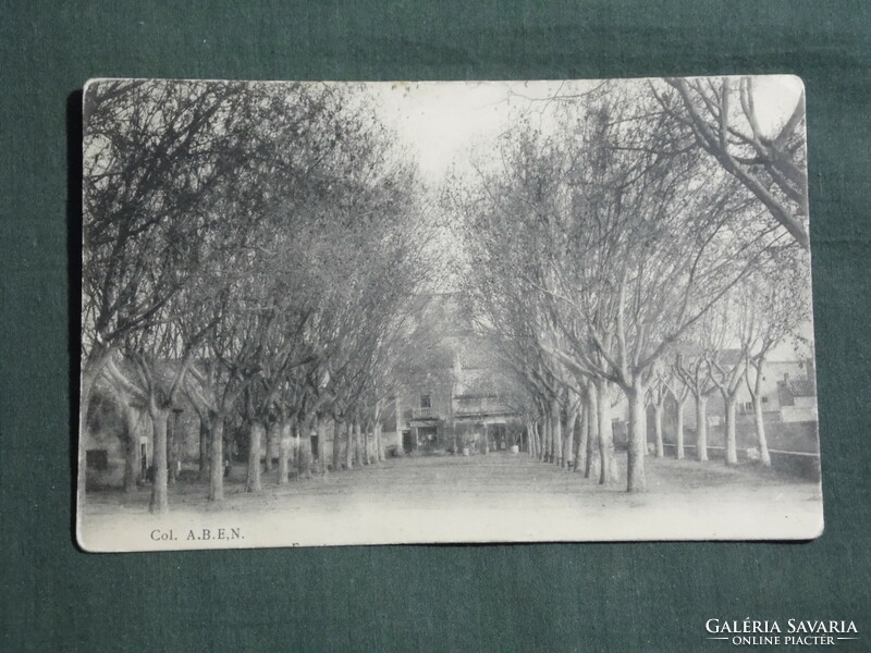 Képeslap, Postkarte, Col. A.B.E,N.  , France, Algérie, Tunisie, park részlet