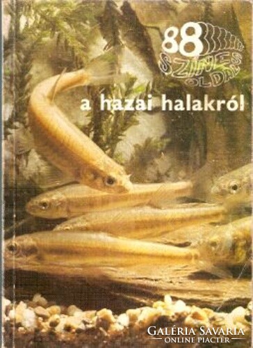 István Botta: 88 color pages about domestic fish