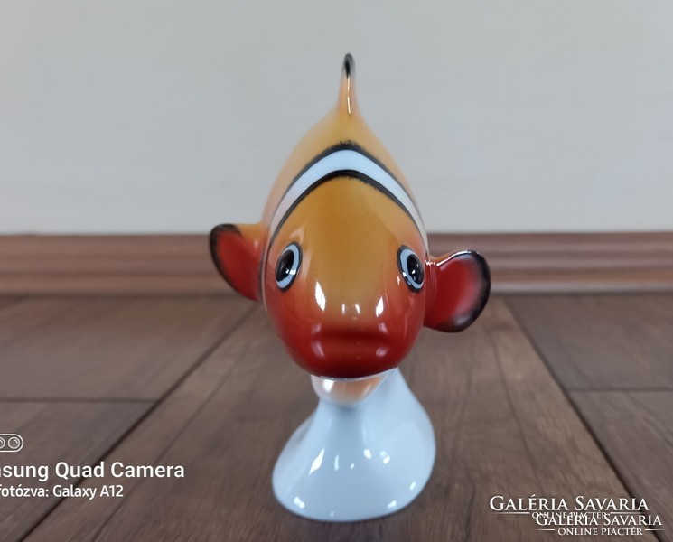 Ravenclaw porcelain fish / clown fish