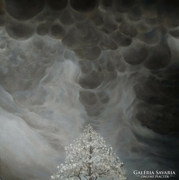 Horváth l. Adrián visual artist: ominous clouds